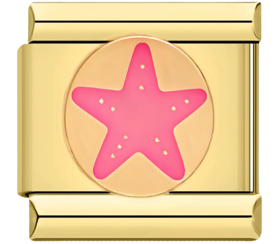 Seestern Charm
