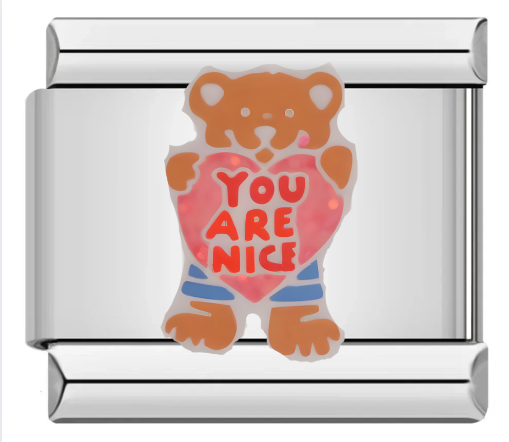 You are nice Bär Charm